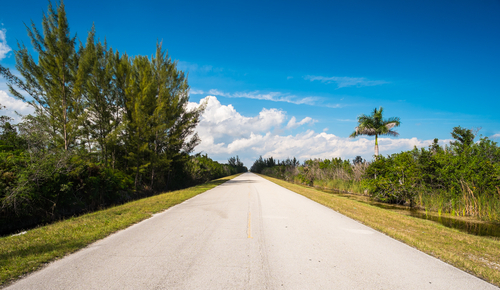 rural-florida-roads-reports, rural-florida-roads-more-dangerous